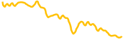 bitkub-coin chart