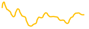 cad-coin chart