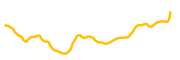 lnfi-network chart
