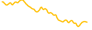 realio-network chart