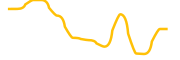 shibacorgi chart