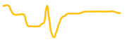 shiden-network chart