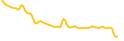 wombat-exchange chart